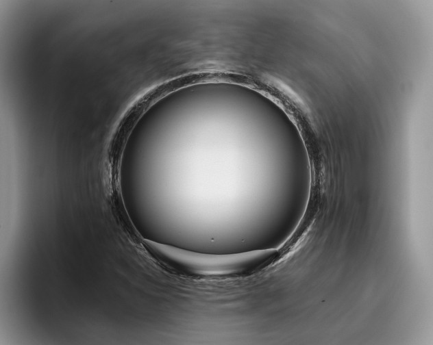 X0000096201310200801181333