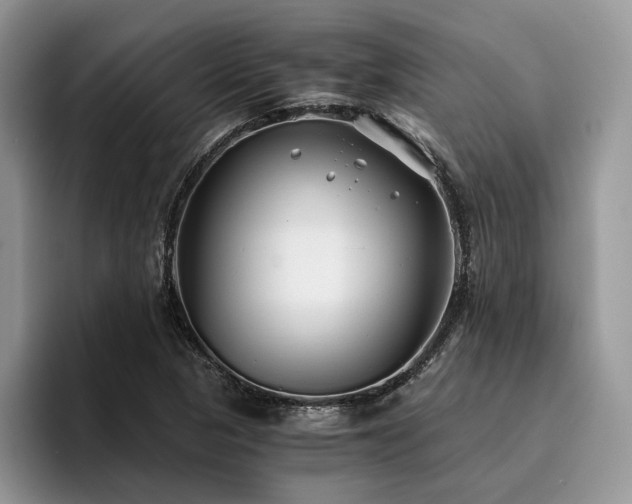X0000096201313200801181333