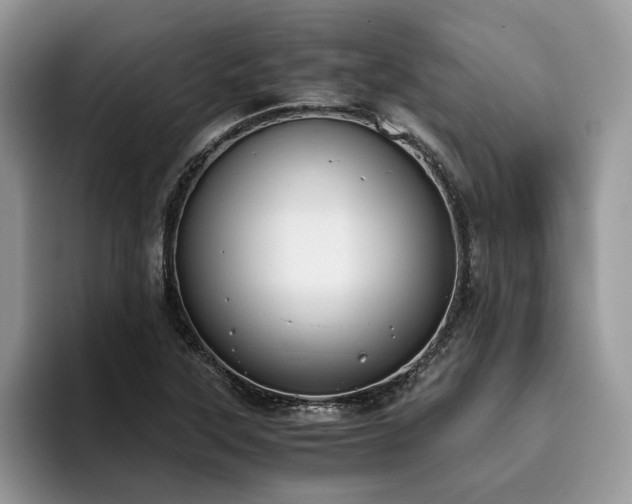X0000096201315200801181333