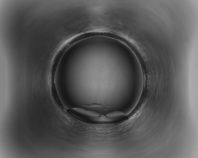 X0000096201319200801181333