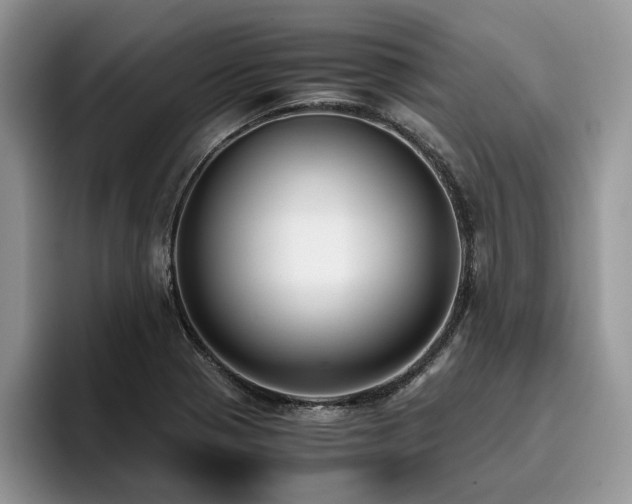 X0000096201321200801181333