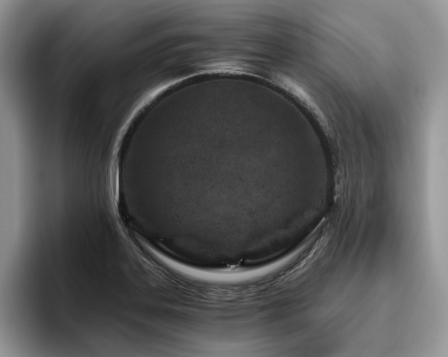 X0000096201323200801181333