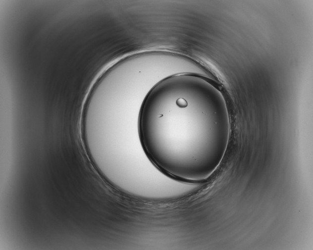 X0000096201324200801181333