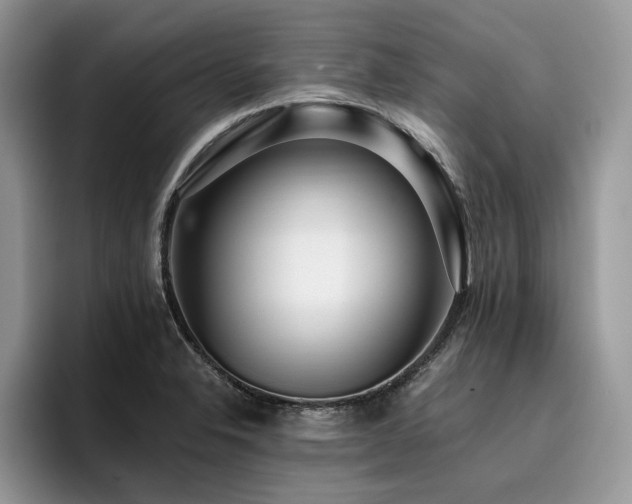 X0000096201326200801181333