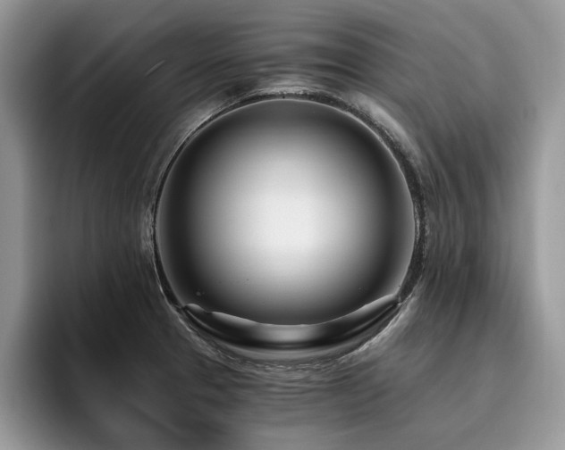 X0000096201329200801181333
