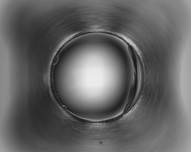 X0000096201333200801181333