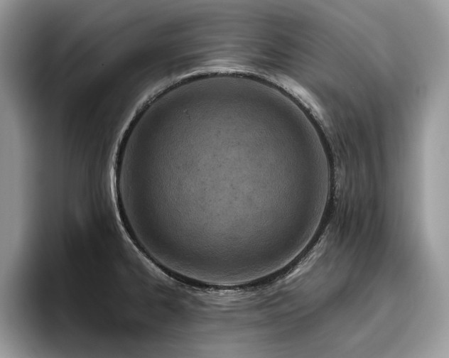 X0000096201334200801181333