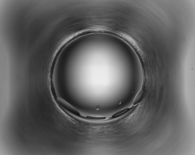 X0000096201335200801181333