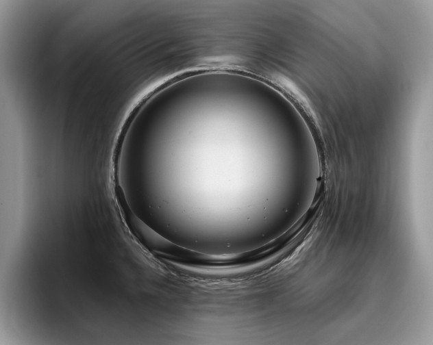X0000096201336200801181333