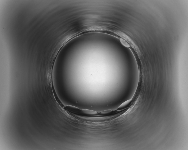 X0000096201337200801181333