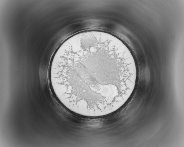 X0000096201338200801181333