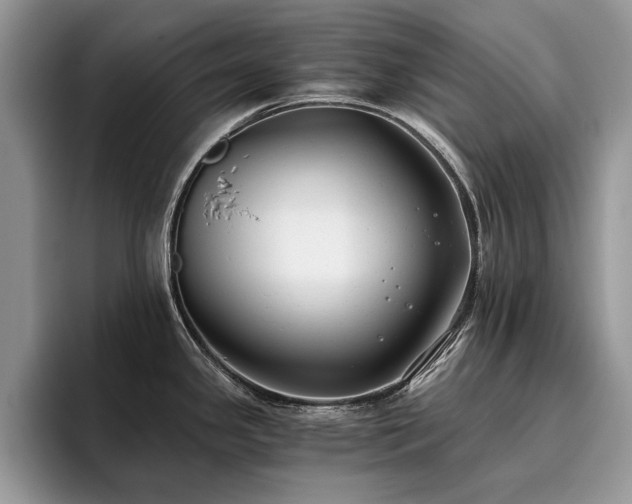 X0000096201341200801181333