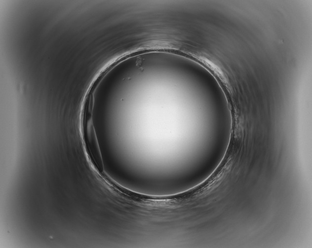 X0000096201342200801181333