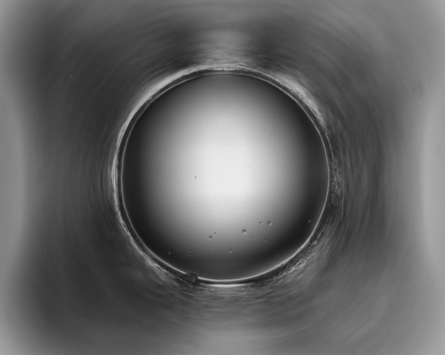 X0000096201343200801181333
