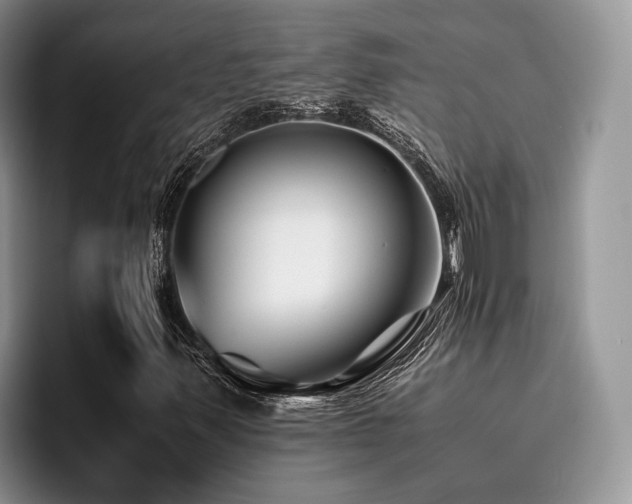 X0000096201347200801181333