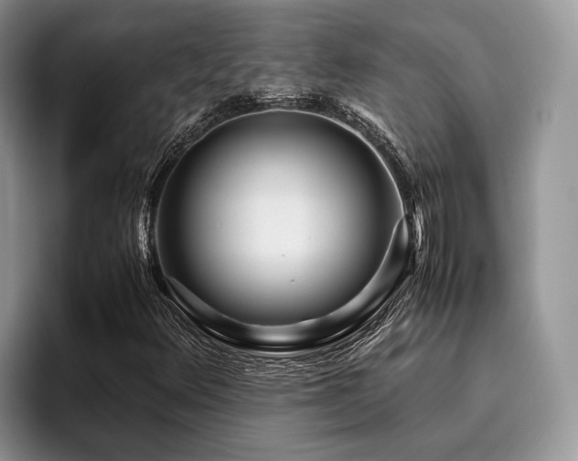 X0000096201348200801181333