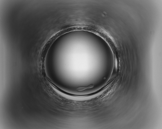X0000096201352200801181333