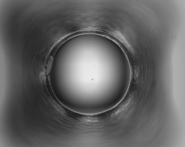 X0000096201356200801181333