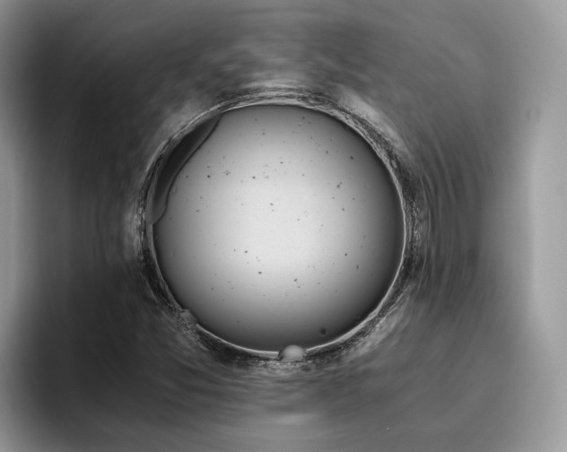 X0000096201357200801181332