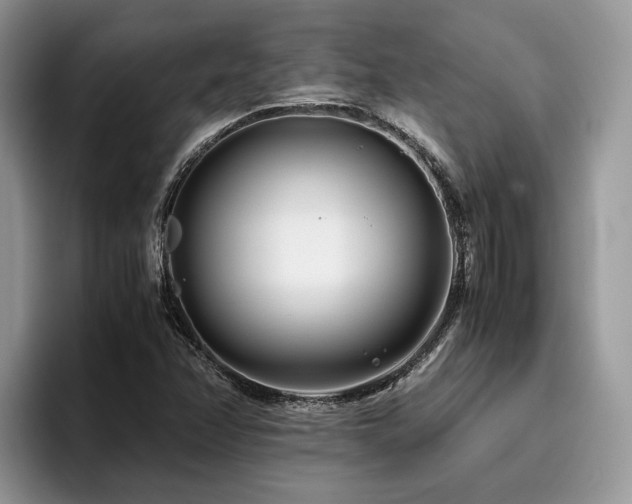 X0000096201358200801181332