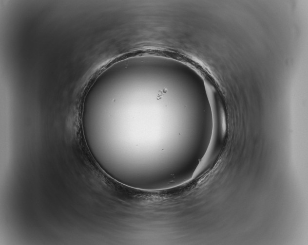 X0000096201359200801181332