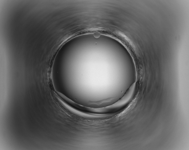 X0000096201361200801181332