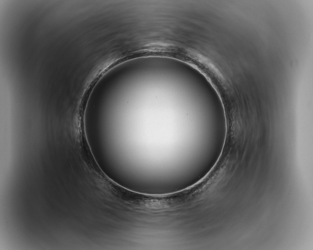 X0000096201362200801181332