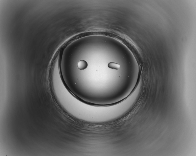 X0000096201364200801181332