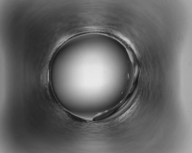 X0000096201365200801181332