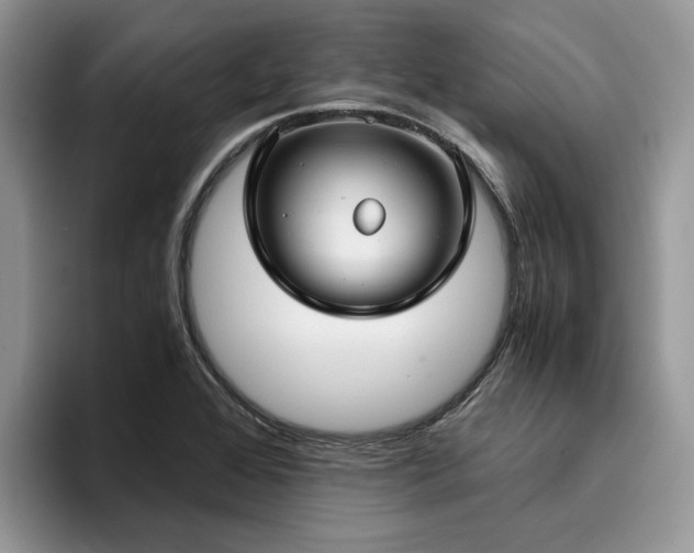 X0000096201368200801181332