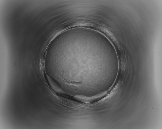 X0000096201369200801181332