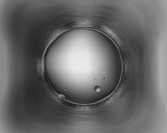 X0000096201370200801181332