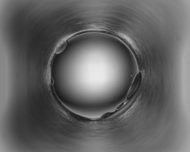 X0000096201371200801181332