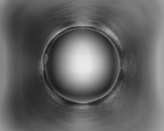 X0000096201372200801181332