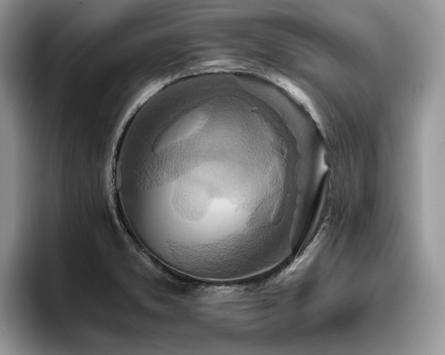 X0000096201373200801181332