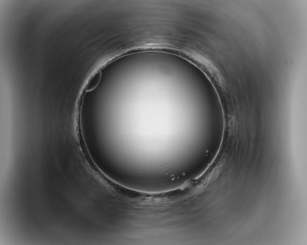 X0000096201374200801181332