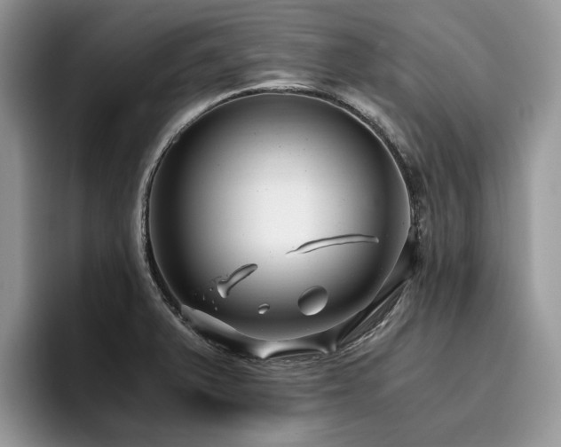 X0000096201375200801181332