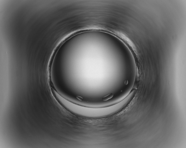 X0000096201380200801181332