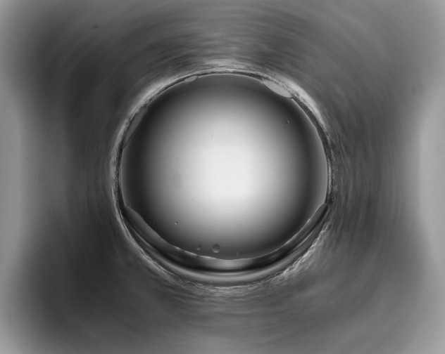 X0000096201381200801181332