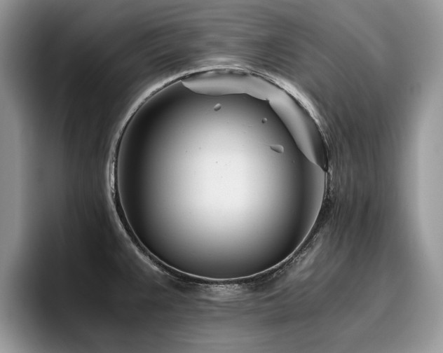 X0000096201383200801181332