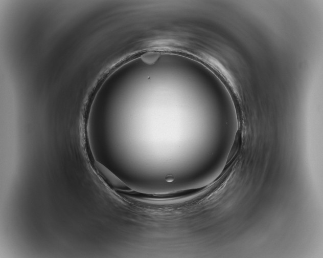 X0000096201384200801181332