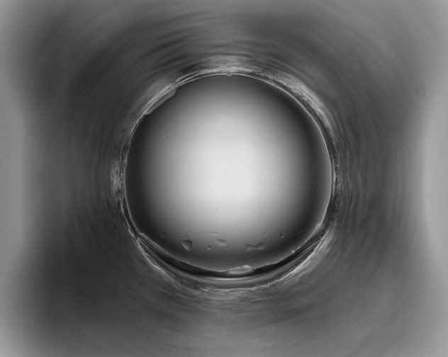 X0000096201385200801181332