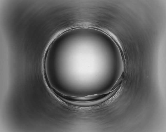 X0000096201389200801181332