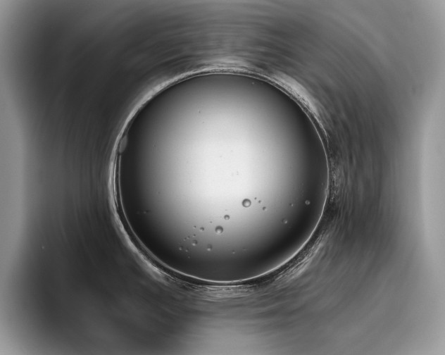 X0000096201391200801181332