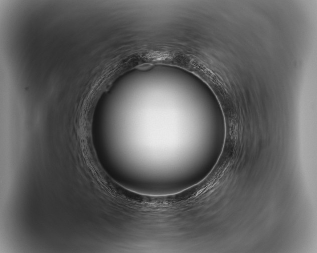 X0000096201393200801181331