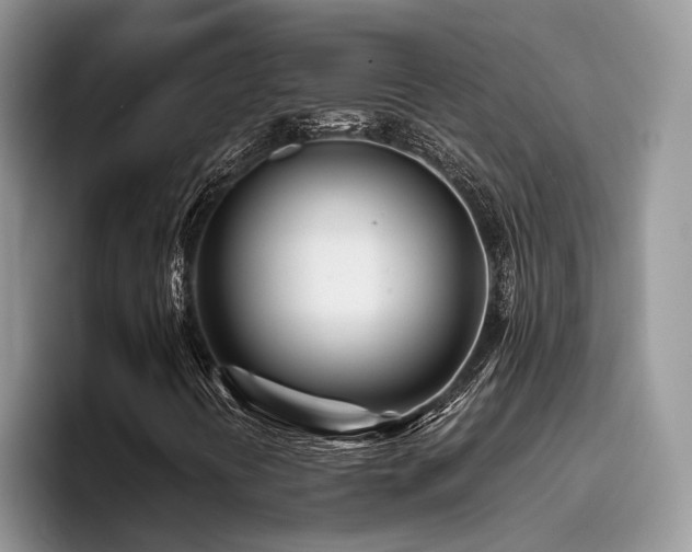 X0000096201394200801181331
