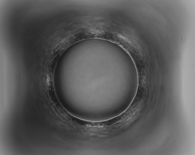 X0000096201397200801181331