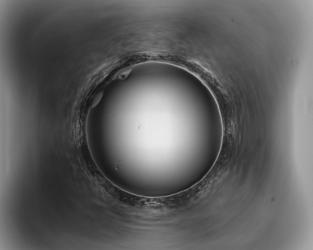 X0000096201398200801181331