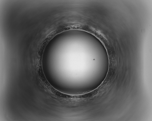 X0000096201399200801181331