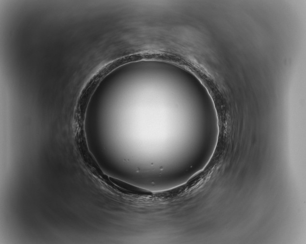 X0000096201400200801181332